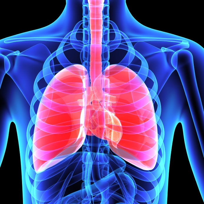 Lung cancer: New protein may “catch” cancer earlier - Lung Cancer ...